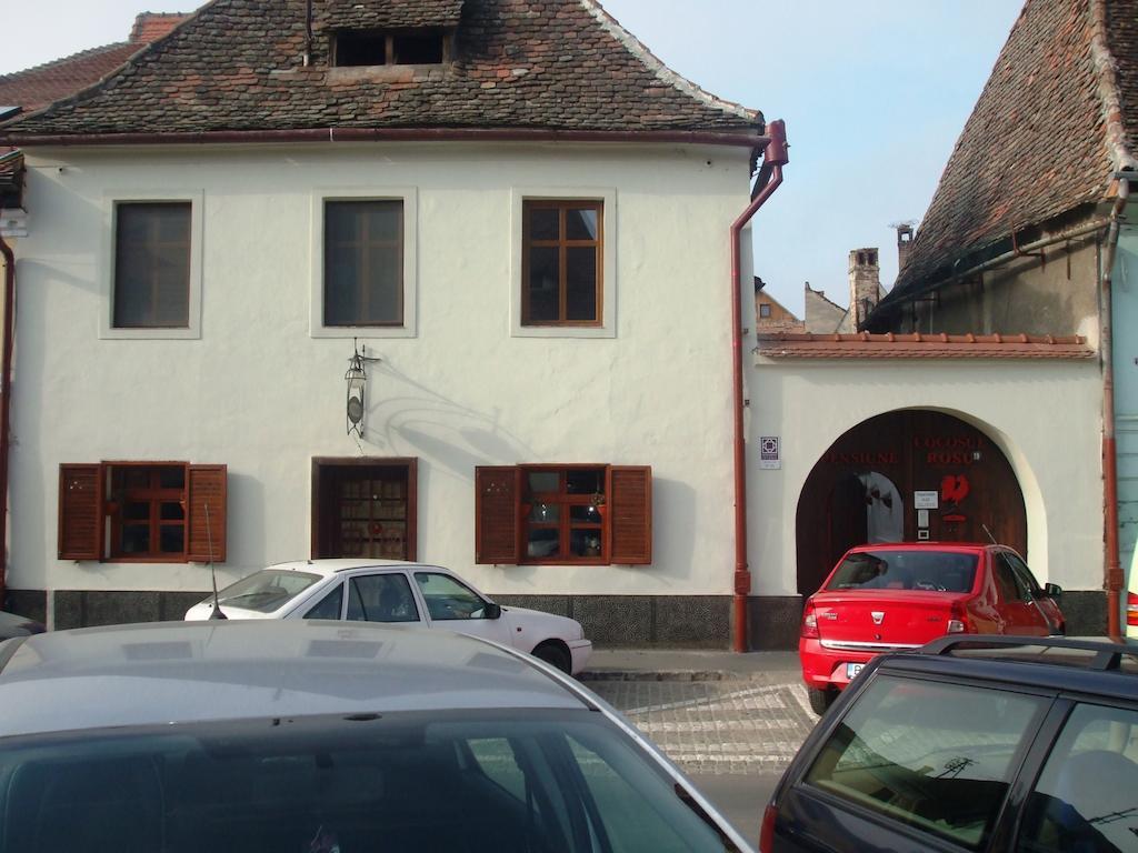 Pensiunea Cocosul Rosu Sibiu Exterior foto